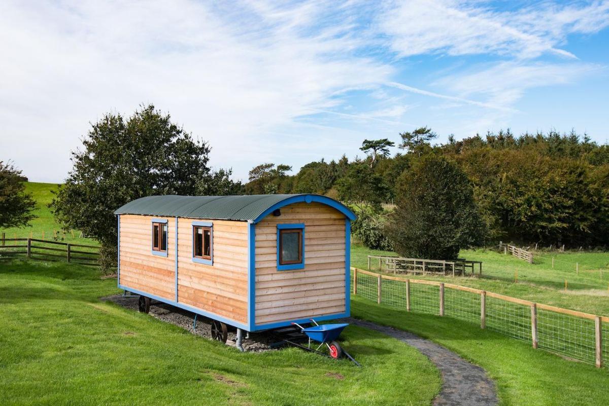 Cow Parsley Shepherd'S Hut Berwick Upon Tweed Bagian luar foto