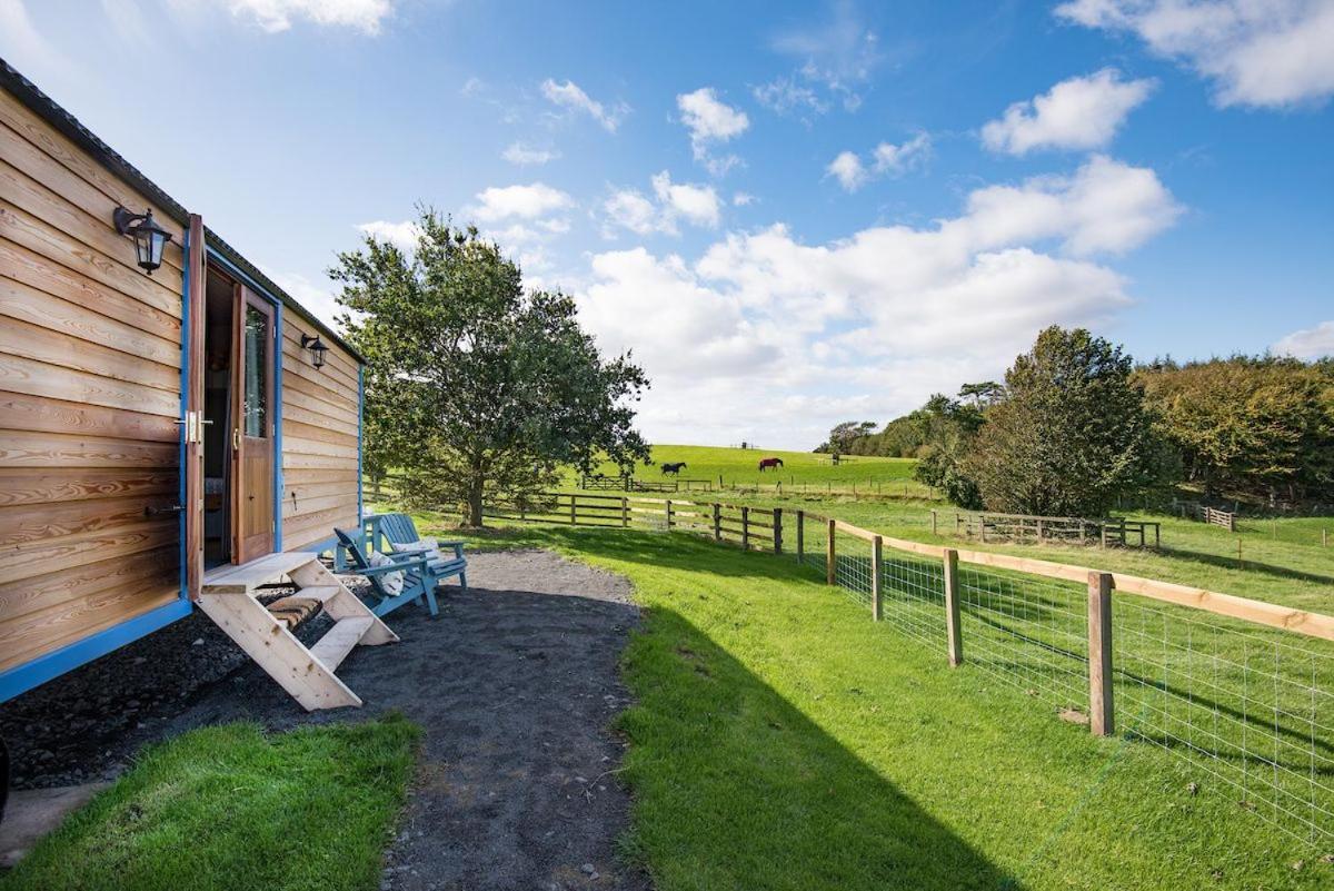 Cow Parsley Shepherd'S Hut Berwick Upon Tweed Bagian luar foto