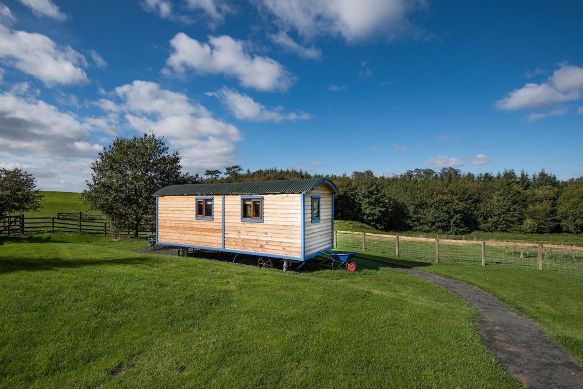 Cow Parsley Shepherd'S Hut Berwick Upon Tweed Bagian luar foto
