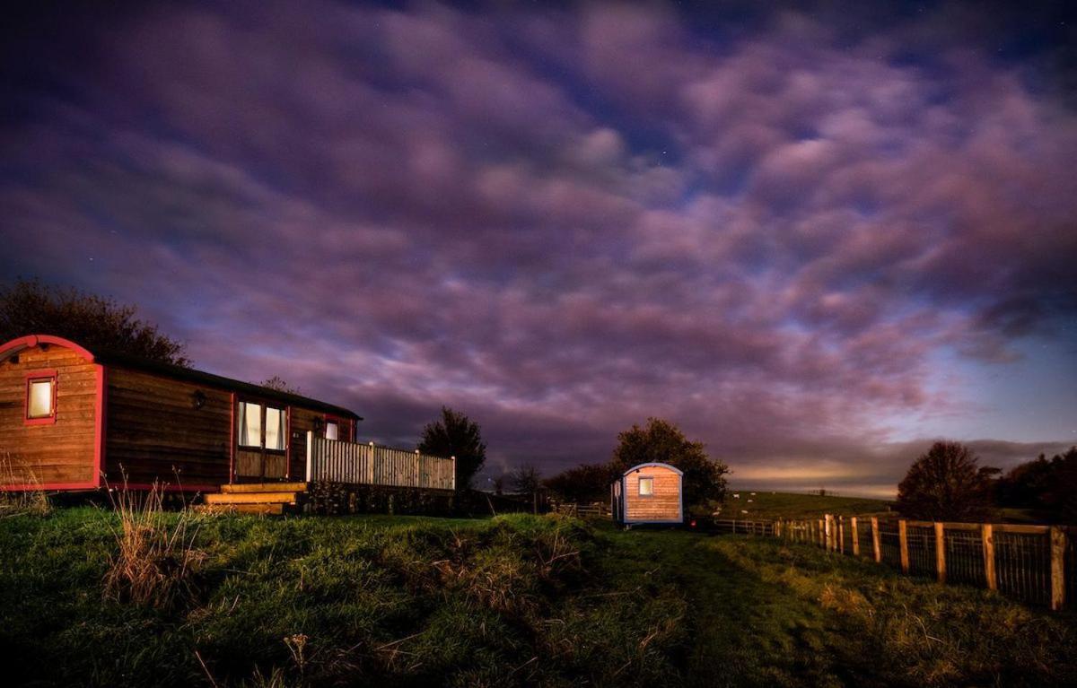Cow Parsley Shepherd'S Hut Berwick Upon Tweed Bagian luar foto